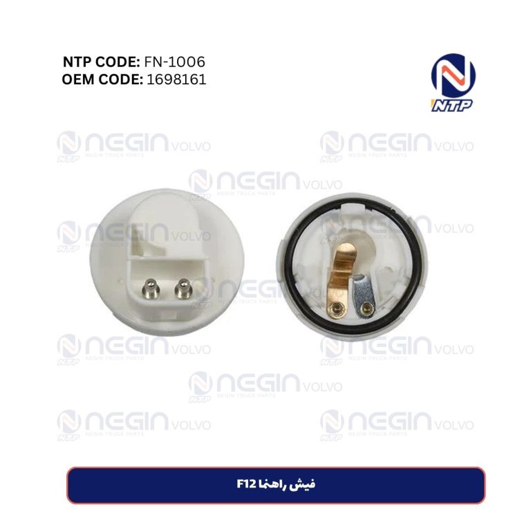 فیش راهنما F12