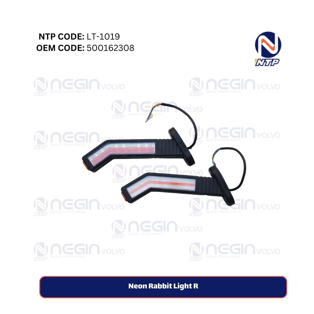 Neon Rabbit Light R Neon Rabbit Light R