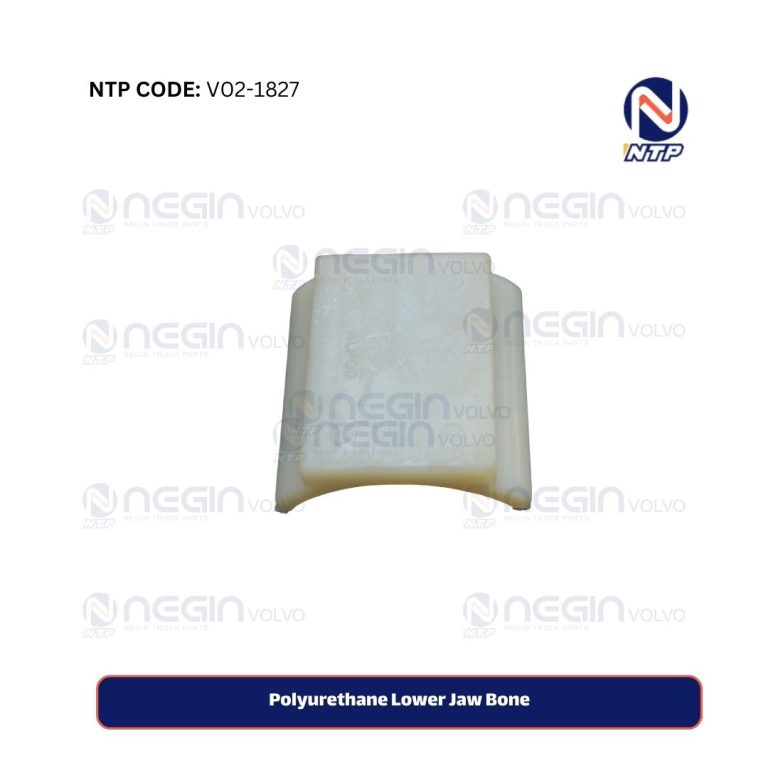 Polyurethane Lower Jaw Bone