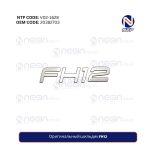 Оригинальный шильдик FH12