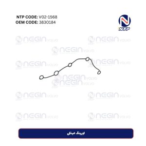 اورینگ عینکی