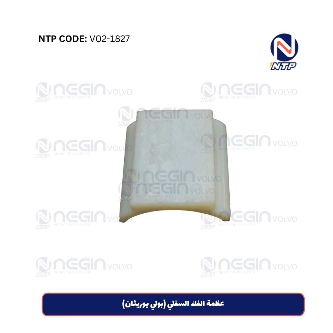 عظمة الفك السفلي (بولي يوريثان) عظمة الفك السفلي (بولي يوريثان)