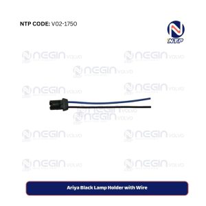 Ariya Black Lamp Holder with Wire