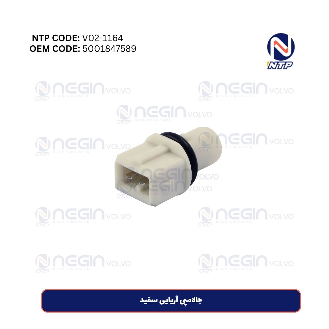 جالامپی آریایی سفید جالامپی آریایی سفید