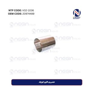 حصیری اگزوز کوچک