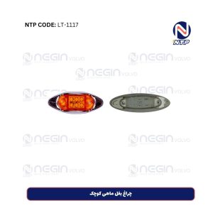 چراغ بغل ماهی کوچک