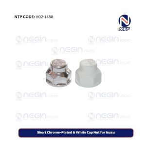 Short Chrome-Plated & White Cap Nut for Isuzu