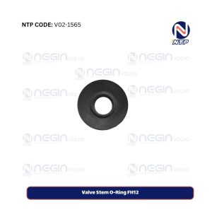 Valve Stem O-Ring FH12